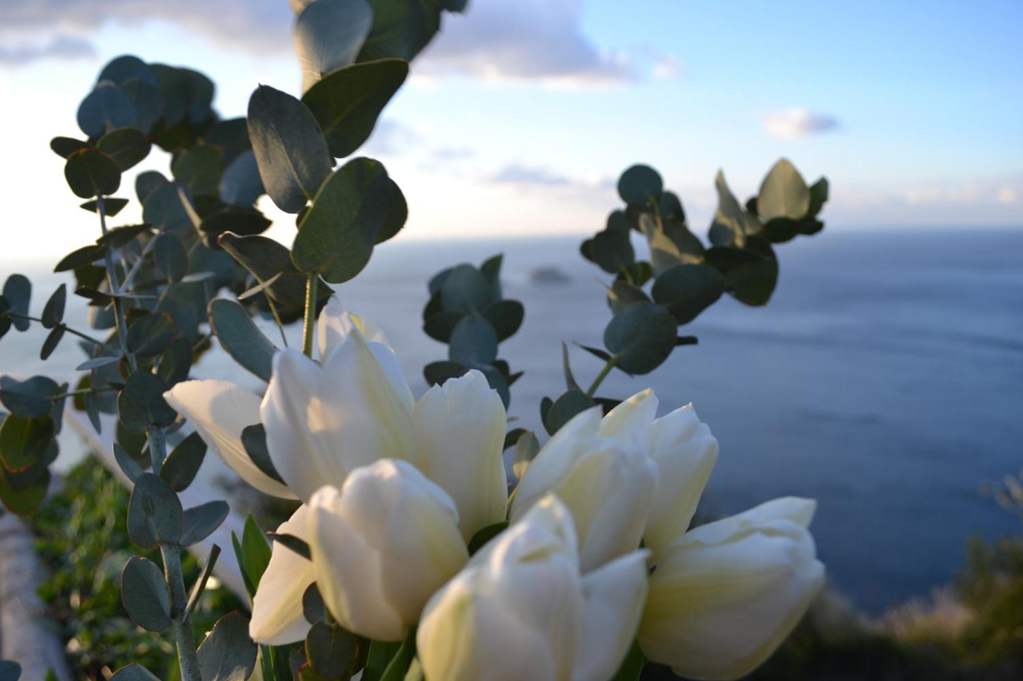 Casa La Bifora Positano Villa ภายนอก รูปภาพ
